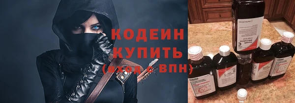 эйфоретик Арсеньев