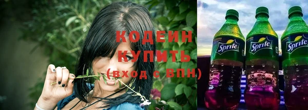 эйфоретик Арсеньев