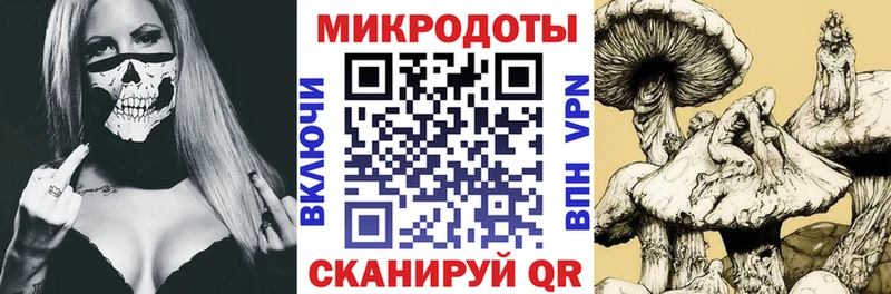 Псилоцибиновые грибы прущие грибы  Покров 